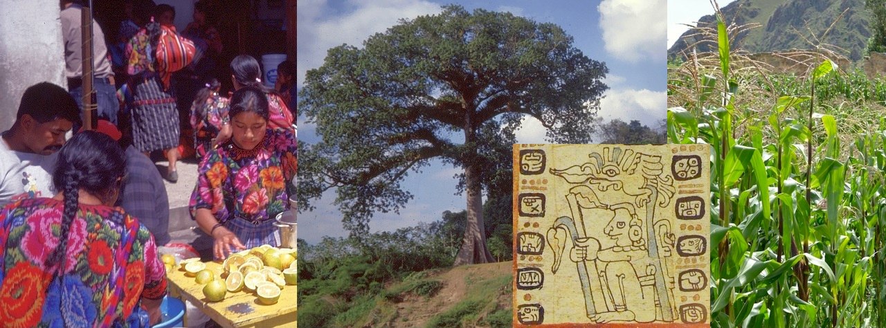 Miguel Angel Asturias - Die Maismenschen